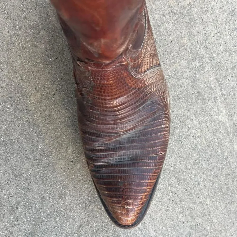Dan Post Reptile Exotic Boots Brown Mens size 10.5 D western
